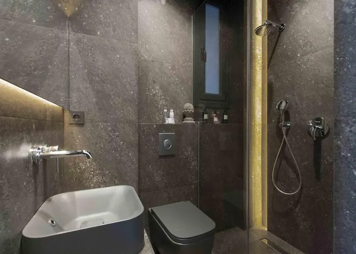 The Collection | Scala San Sebastian